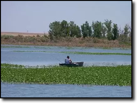 Fishing near Ordway